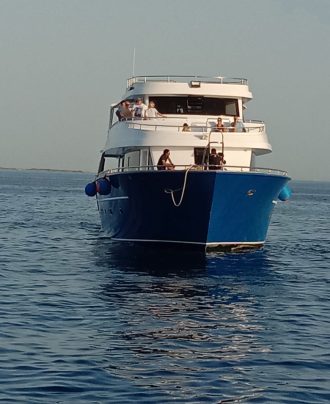 SEA TRIPS