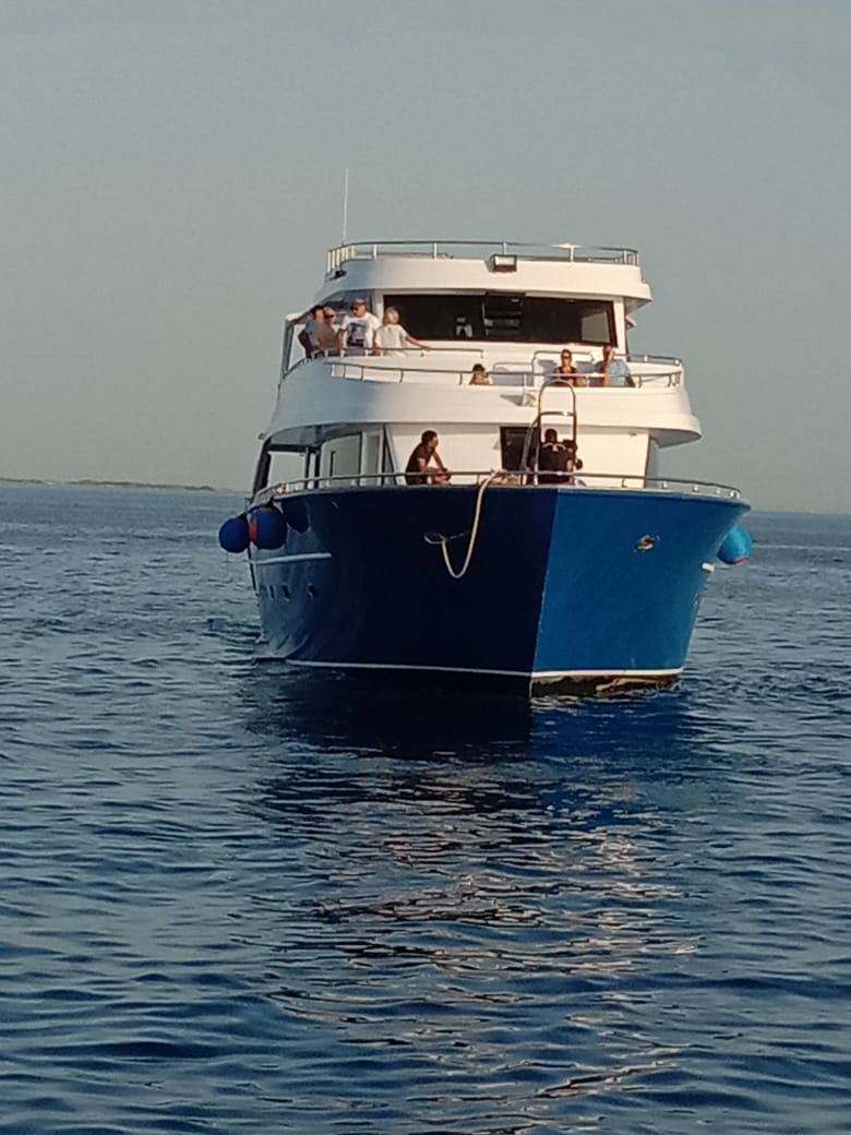 МОРСКИЕ ПРОГУЛКИ